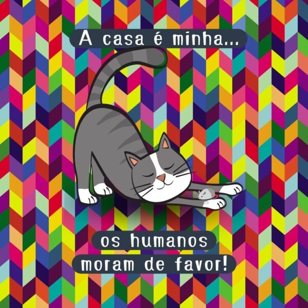 Quebra-cabeça 48 peças <br />A casa é minha